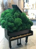 Пианино со мхом, Стабилизированный мох, композиция из мха, мох в пианино, мох в вазе, декор для дома, ваза для цветов, стабилизированный мох, оригинальный подарок