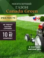Газонная трава семена низкорослый 10кг Канада Грин Премиум