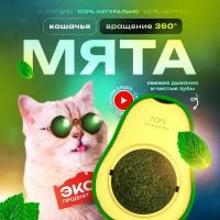 Кошачья мята, Лакомство для кошек, Игрушка для котят, Леденец для котов с витаминами