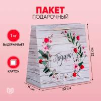 Пакет подарочный ламинированный «Чудесный подарок» квадратный, 22 × 22 × 11 см