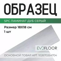 SPC ламинат Evofloor Home - Oak Grey (Дуб Серый) - образец