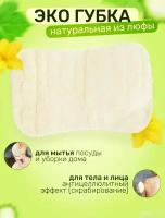 Губки из прессованной натуральной люфы, 3 штучки