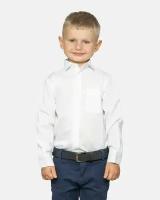 Рубашка st для мальчика дошкольная Imperator PT2000 (104-110)