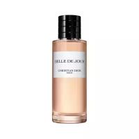 Dior парфюмерная вода Belle de Jour