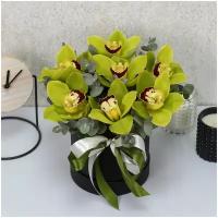 Цветы живые букет из 7 зеленых орхидей с эвкалиптом в шляпной коробке 