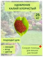 Селитра калиевая (калий азотнокислый), мешок 25кг