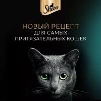 Влажный корм для кошек SHEBA® паштет с курицей, 75г