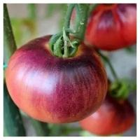 Томат Аметистовое сердце (лат. Solanum lycopersicum) семена 10шт