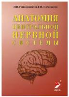 Анатомия центральной нервной системы. Краткий курс: Учебное пособие. 12-е изд, перераб. и доп