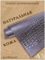 Кожа натуральная/Формат А3/Кожа рептилии Кайман 1,2-1,4мм цв. темно-коричневый крокодил