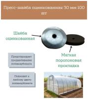 Пресс - шайба оцинкованная с уплотнением оцинкованная 30 мм 100 шт крепеж для сотового поликарбоната