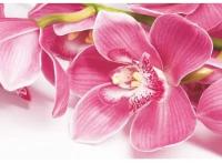 Фотообои 'Орхидея' (4 листа) 200 140 см