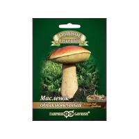 Мицелий грибов Гавриш Грибное лукошко Масленок на зерновом субстрате 15 мл