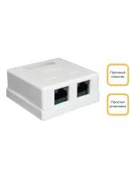 Настенная интернет розетка, RJ45/8P8C, LS-1242-C5E