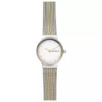 Женские наручные часы Skagen SKW2698