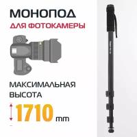 Трипод/монопод Rekam RM-120