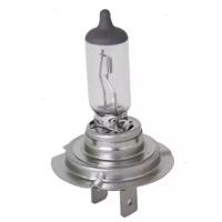 Лампа автомобильная галогенная BOSCH Trucklight 1987302441 H4 24V 75/70W P43t-38