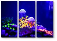 Модульная картина Яркий мир кораллов и медуз 100x72