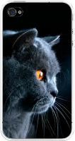 Силиконовый чехол на Apple iPhone 4/4S / Айфон 4/4S Благородный кот британец