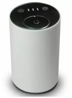 Ароматизатор для дома и автомобиля освежитель воздуха диффузор парфюм в машину аромадиффузор вонючка