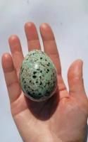 Яйцо из натурального камня амазонитовый гранит 64,5 мм