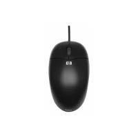 Мышь HP QY777AA Optical Scroll Mouse Black USB, черный