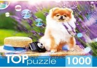 Пазл TOP Puzzle 1000 деталей: Шпиц в саду