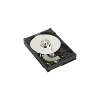 Жесткий диск Western Digital WD Re 250 ГБ WD RE 250 GB (WD2500YS)