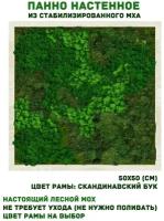 Квадратное панно из стабилизированно мха GardenGo в рамке цвета скандинавский бук, 50х50см, цвет мха зеленый