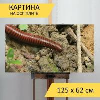 Картина на ОСП 125х62 см. 