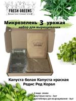 Микрозелень для выращивания Набор Fresh Greens (Капуста белокочанная Капуста краснокочанная Редис Ред Корал)