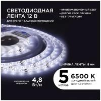 Яркая светодиодная лента Apeyron 00-08 12 В, 6400K, 280 Лм/м, 60д/м, 4,8Вт/м, smd3528, IP65, 5 м, подложки 8 мм