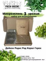 Микрозелень для выращивания Набор Fresh Greens (Дайкон Редис Ред Корал Горох)