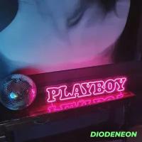 DIODENEON / Неоновый светильник 