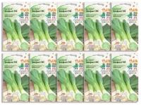 Набор семян Лук зеленый порей Элефант МС 0.5 г Детская грядка - 10 уп