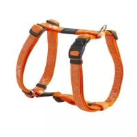 Rogz Шлейка серия Fancy dress размер M (см) ширина 1,6 см Веселая прогулка (H-HARNESS) SJ12CP 0,058 кг 38342