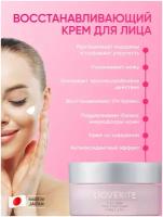 LIOVERITE Восстанавливающий баланс микрофлоры кожи крем для лица Balance Control Cream 33 гр