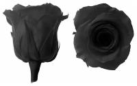Стабилизированный цветок Epoxy Master Роза (черная), 1 бутон