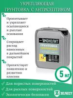 Грунтовка монолит «Г-2 Укрепляющая» с антисептиком, для укрепления слабых, рыхлых, осыпающихся оснований5 кг