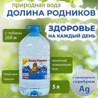 Вода Долина Родников с серебром. Объем 5л. Ручеек, негазированная, Вода минеральная питьевая природная лечебная, выводит токсины, для детей родителей