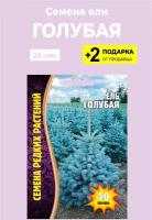 Семена Ель Голубая, 20 сем. + 2 Подарка