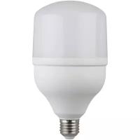 Лампа светодиодная высокомощная STD LED POWER T120-40W-6500-E27 40Вт T120 колокол 6500К холод. бел. E27 3200лм Эра Б0027006