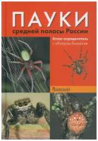 Пауки средней полосы России
