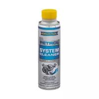 RAVENOL Petrol System Cleaner