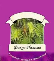 Земля Матушка универсальная Фикус - Пальма 3л. почвогрунт Гуми, почва. Грунт 1 упаковка. ОЖЗ Кузнецова