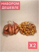 Набор Лук-севок Шалот Семейный (0,25 кг) и Штуттгартер ризен 10/21 (0,25 кг)