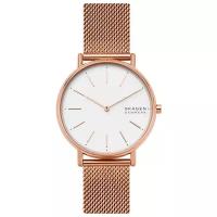 Наручные часы Skagen SKW2784