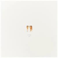 Виниловая пластинка Pet Shop Boys / Please (LP)