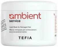 Маска для волос Tefia Color Creats Ambient Service Lipid Mask for Damaged Hair pH 4.5, 500 мл