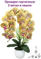 Искусственные Орхидеи Фаленопсис 2 ветки горчичные в кашпо для декора интерьера 55см от ФитоПарк